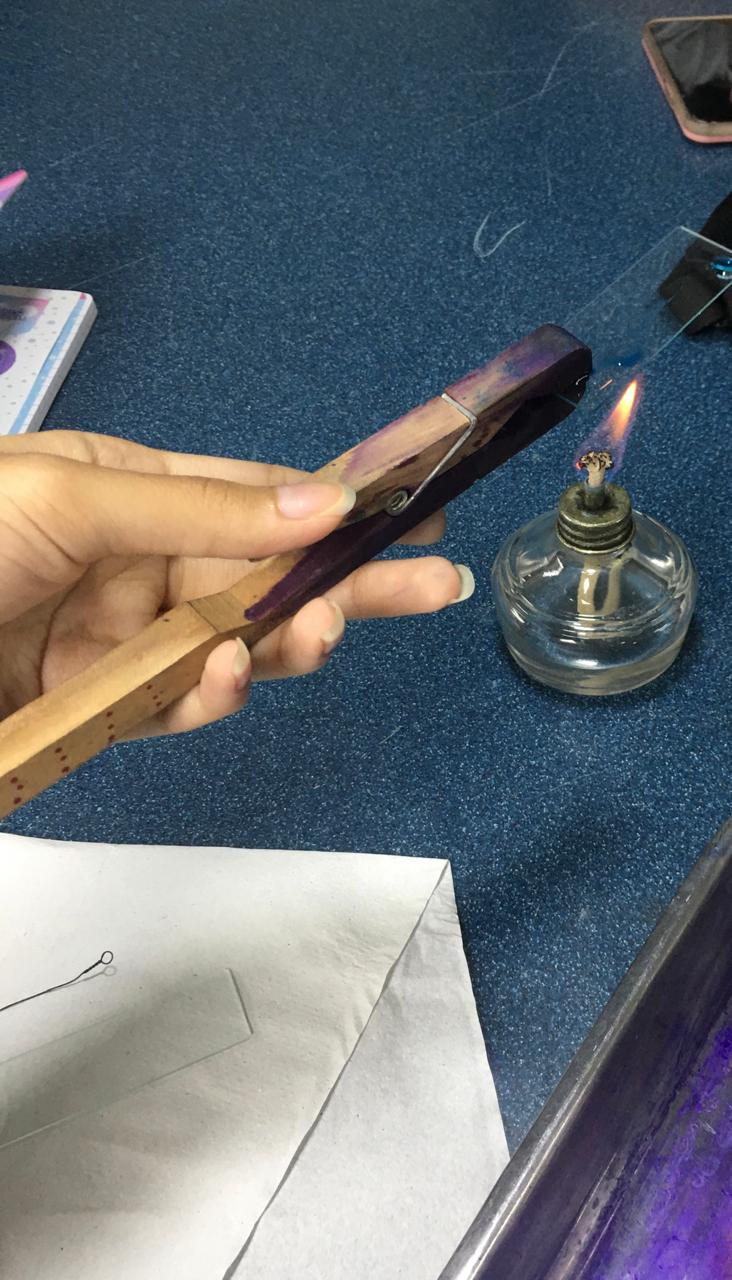 Figura 14: Fijación de la muestra al calor.