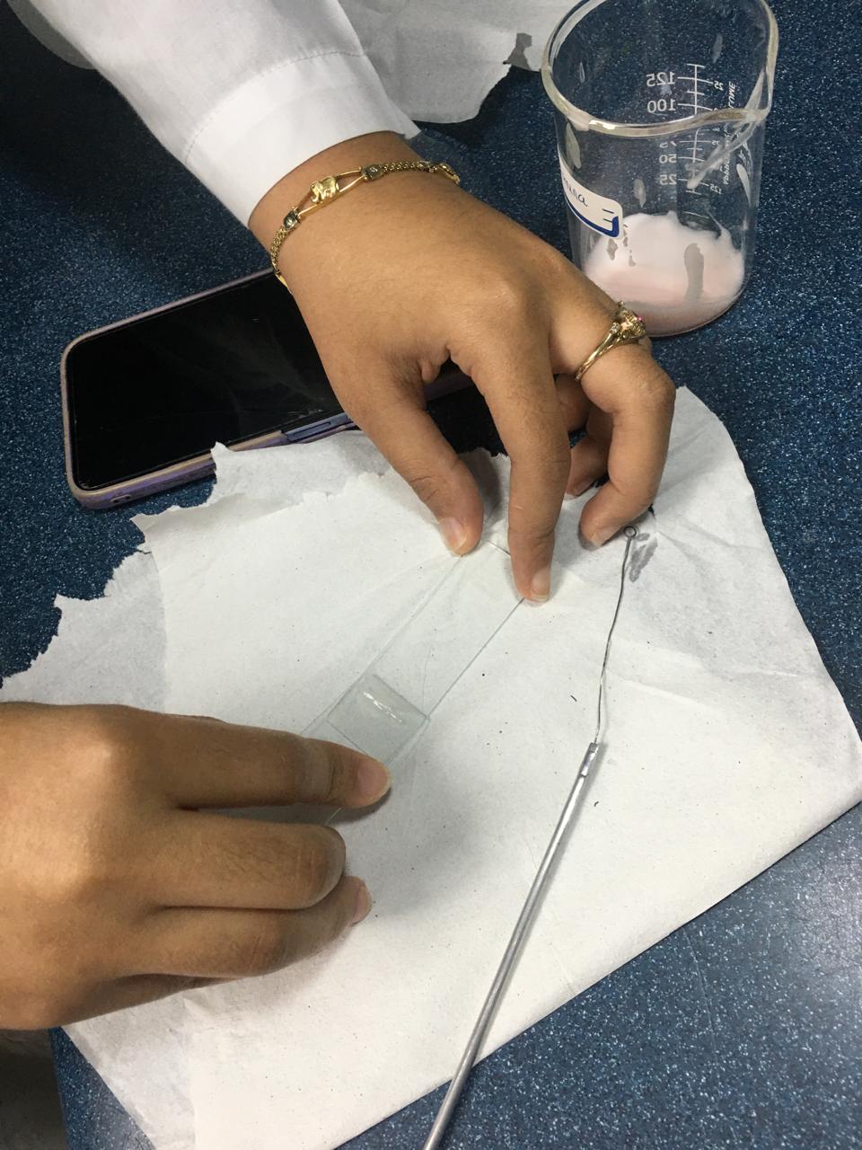 Figura 2: Preparación del frotis o fijación de la muestra con el portaobjetos.