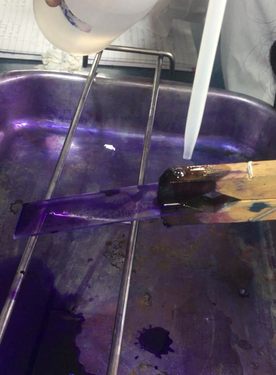 Figura 5: Lavado del portaobjetos para eliminar el exceso de colorante.