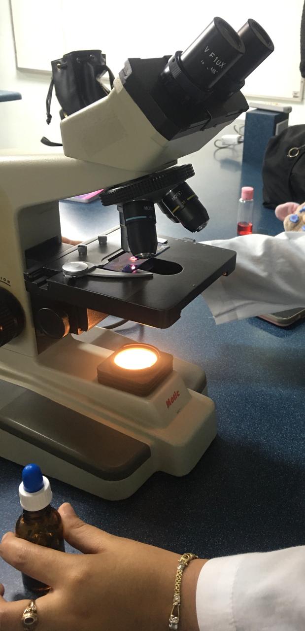 Figura 7: Uso del microscopio óptico con aceite de inmersión para la observación a 100x.