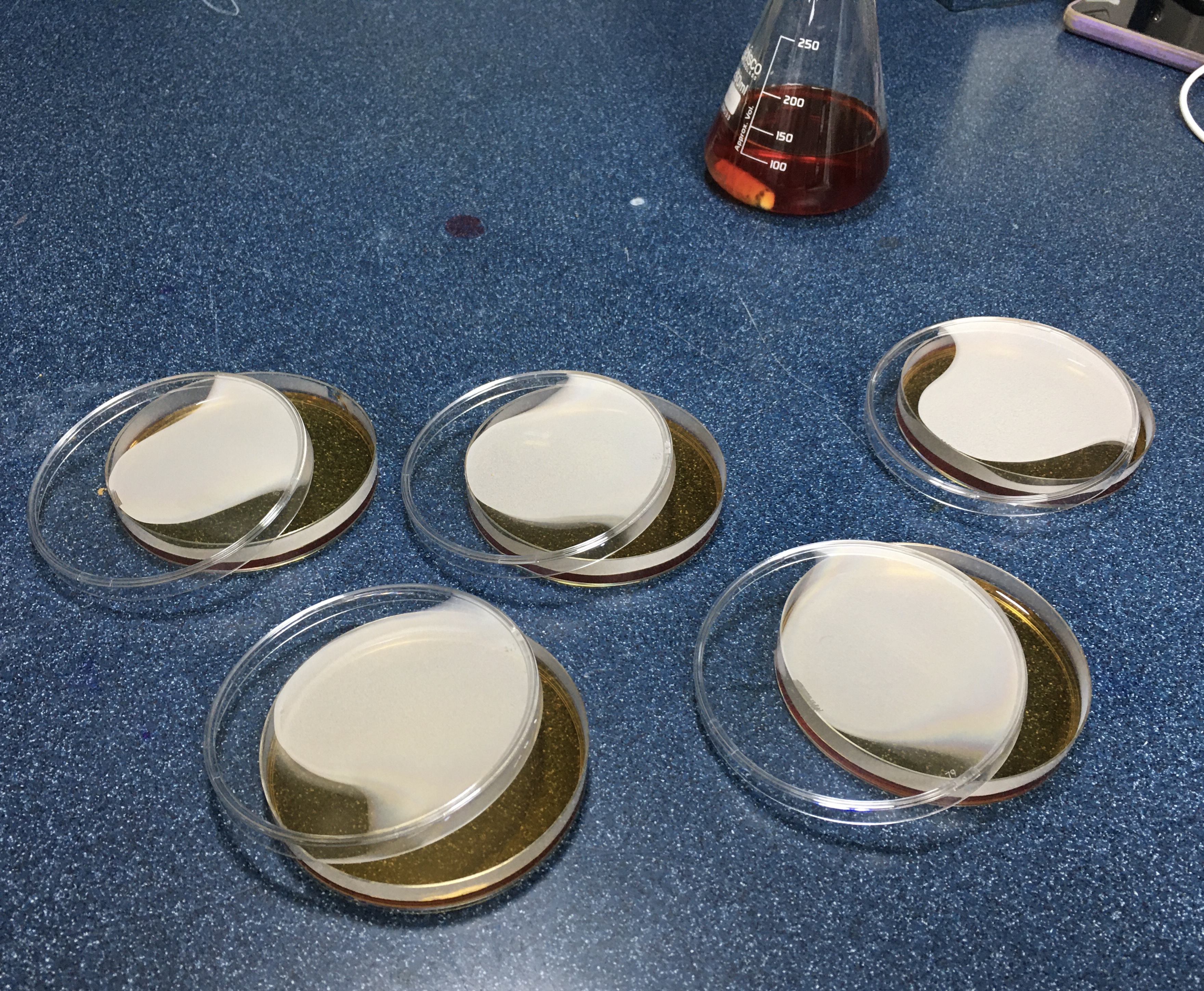 Tapa Entreabierta para Ventilación