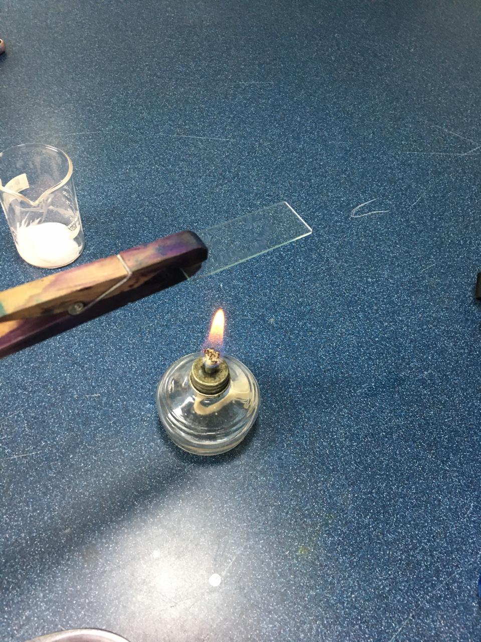 Figura 9: Fijación de la muestra al calor.